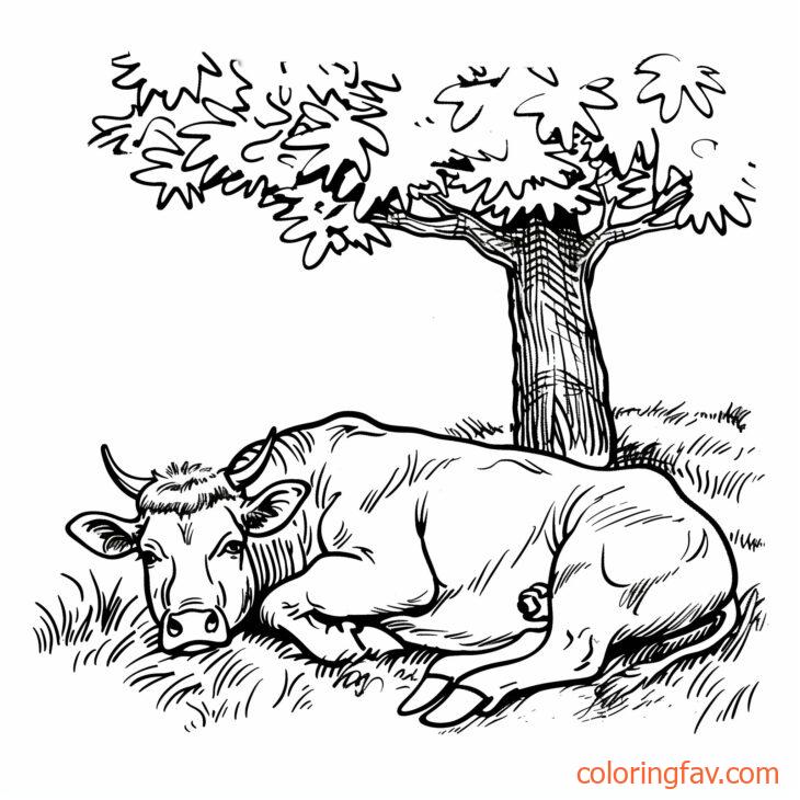 A Peaceful Cow lying down under a shady tree asleep in a serene pasture 2