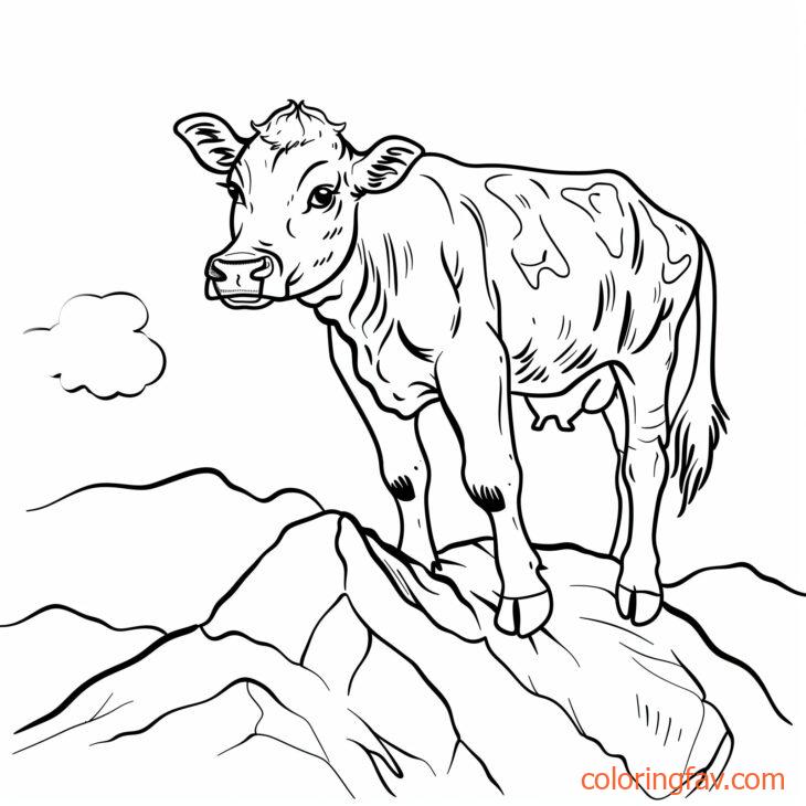 A climbing cow scaling a small hill or rock with rolling hills behind it 5