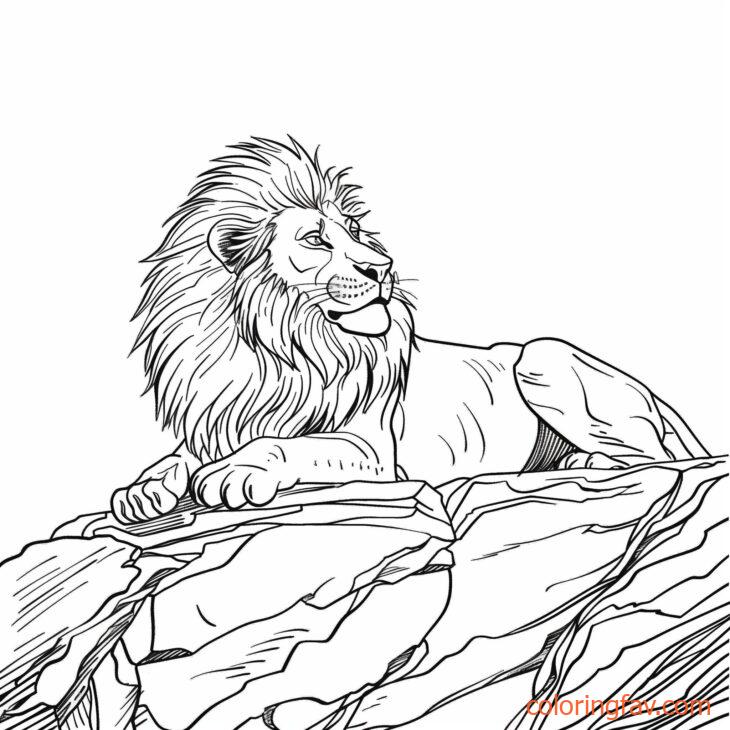 A lion basking in the sunlight on a rocky outcrop 3