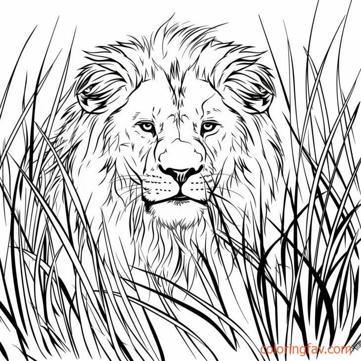 A lion crouched low in the tall grass 3