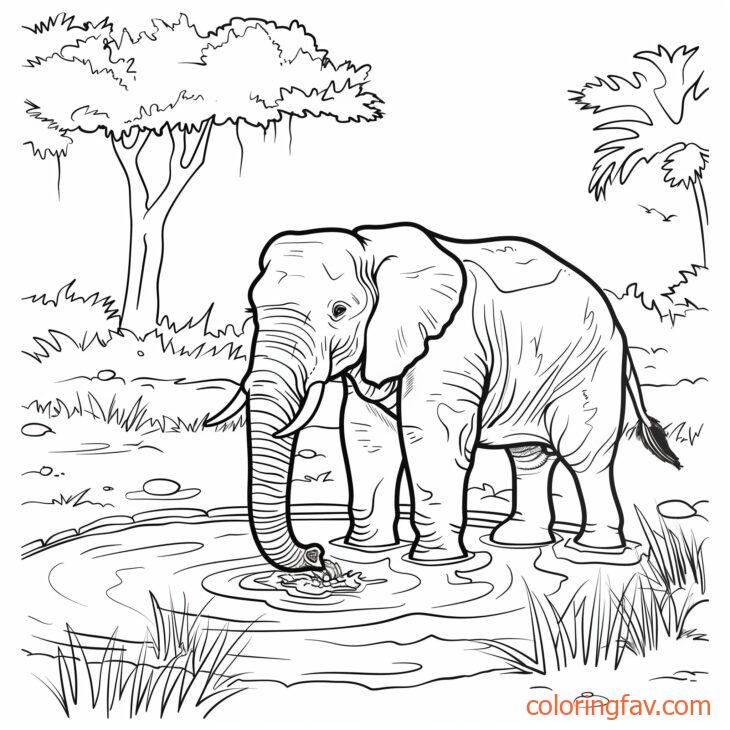 An elephant drinking from a jungle river or pond 1