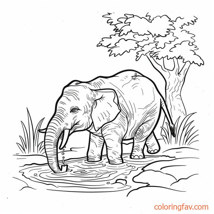 An elephant drinking from a jungle river or pond 2