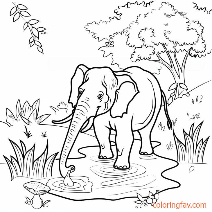 An elephant drinking from a jungle river or pond 3