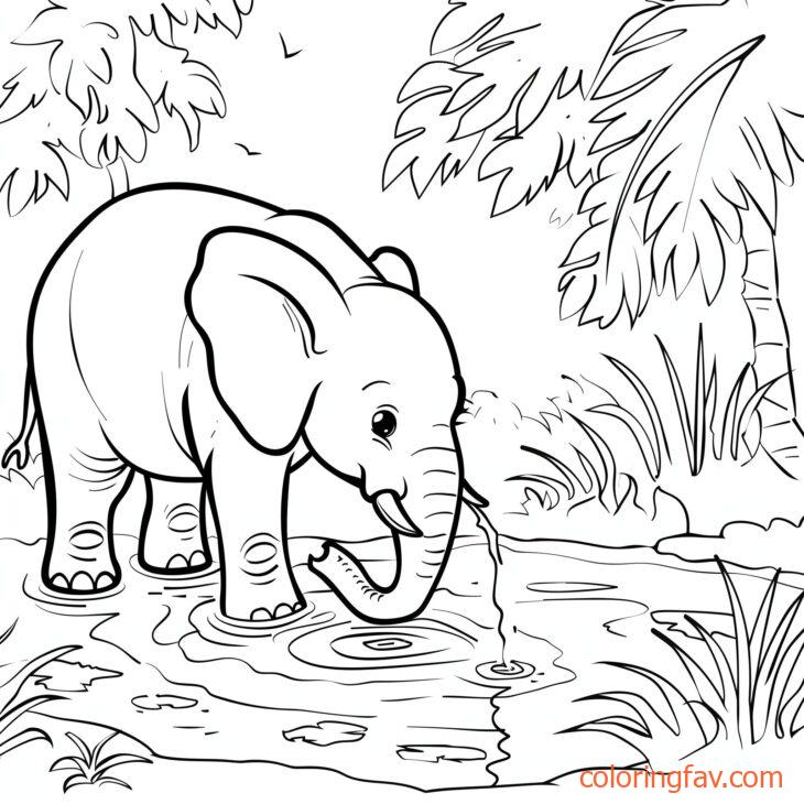 An elephant drinking from a jungle river or pond 4