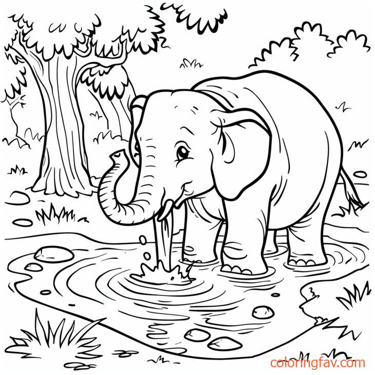 An elephant drinking from a jungle river or pond 5