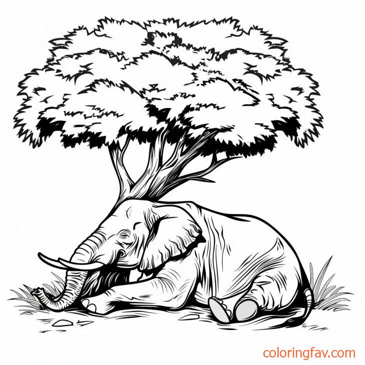 An elephant lying down resting under a large tree 1