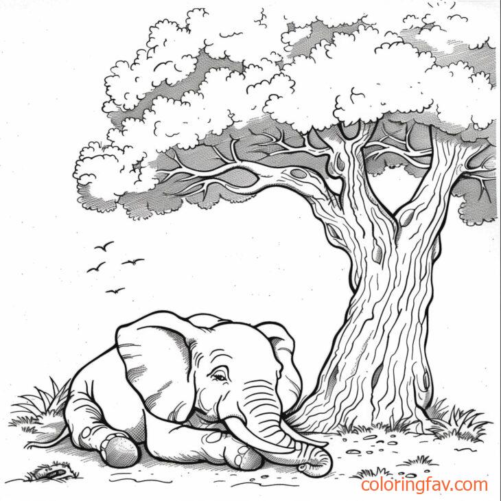 An elephant lying down resting under a large tree 2