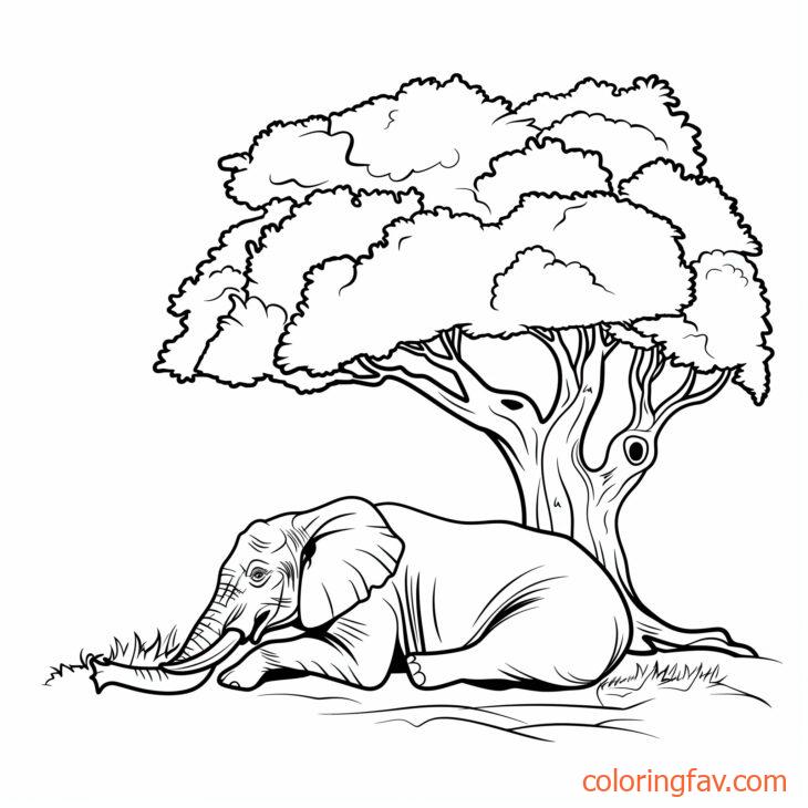 An elephant lying down resting under a large tree 3