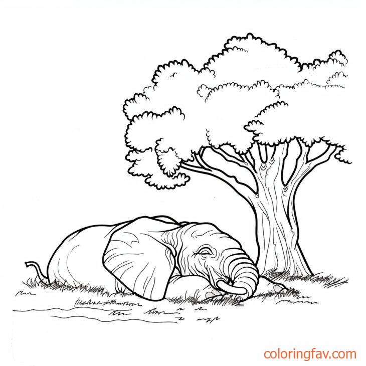 An elephant lying down resting under a large tree 4