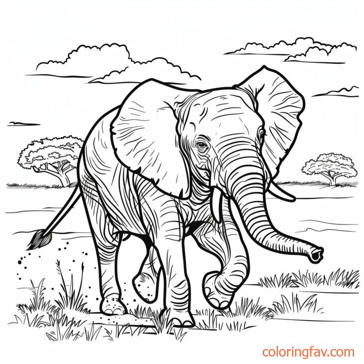 An elephant running through the savannah with its ears flapping 2