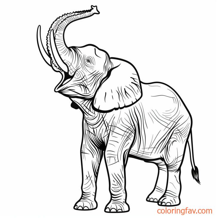 An elephant trumpeting loudly with its trunk raised high 1