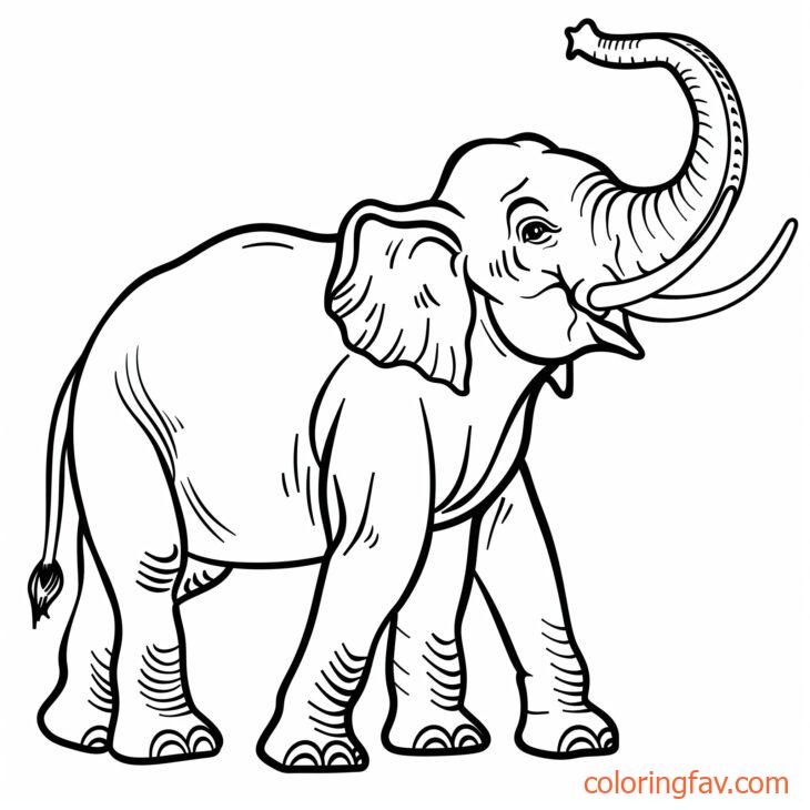 An elephant trumpeting loudly with its trunk raised high 5