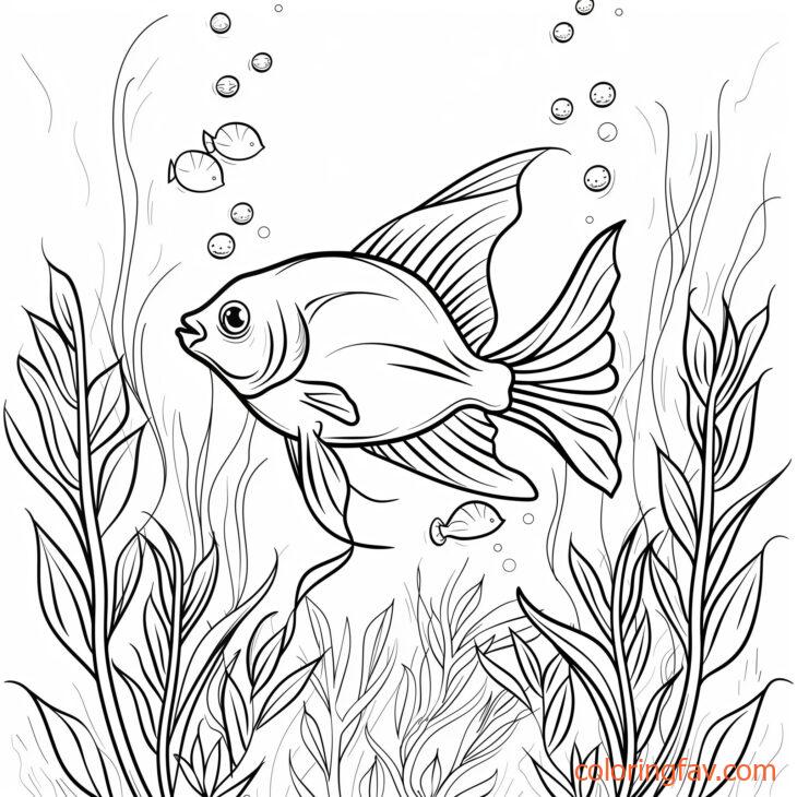 Angel Fish Exploring a Dense Kelp Forest 1