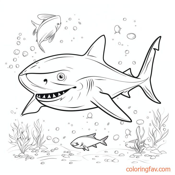 Cute Gentle Shark Swimming Alongside Smaller Fish 6